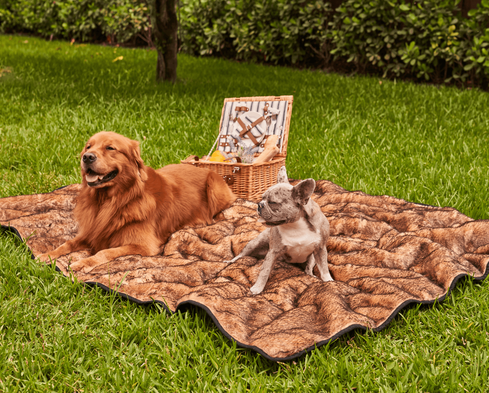 Pupprotector Summer Short Fur Waterproof Throw Blanket Tan - gallery image 12