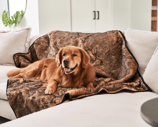 Pupprotector Summer Short Fur Waterproof Throw Blanket Tan - detail view
