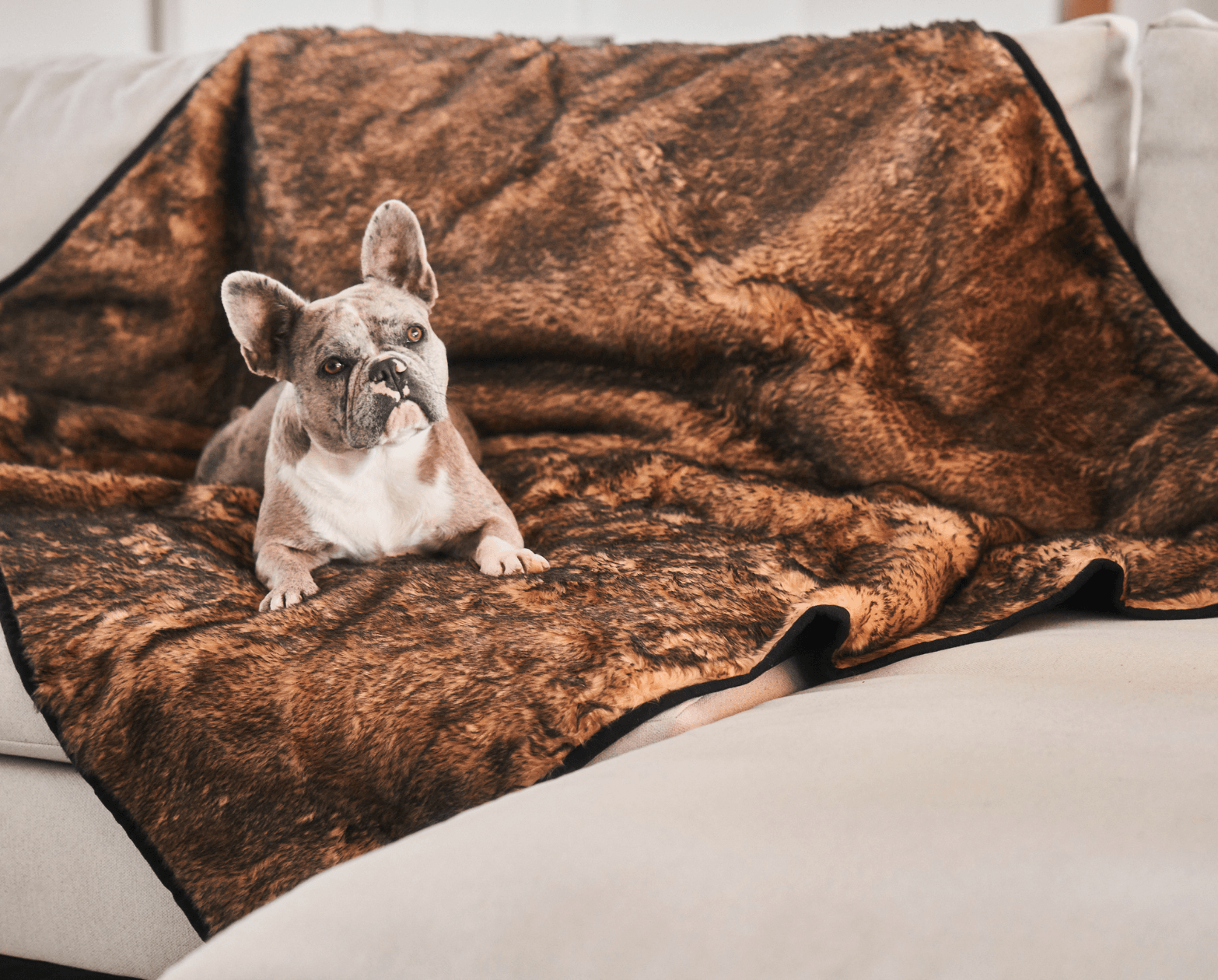 Pupprotector Summer Short Fur Waterproof Throw Blanket Tan - lifestyle view