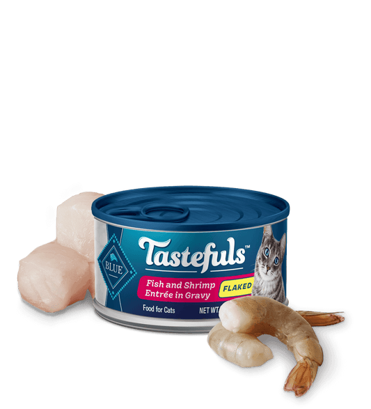 Wet Cat Food Blue Buffalo Shrimp Recipe 3oz Daily Meals - main product image