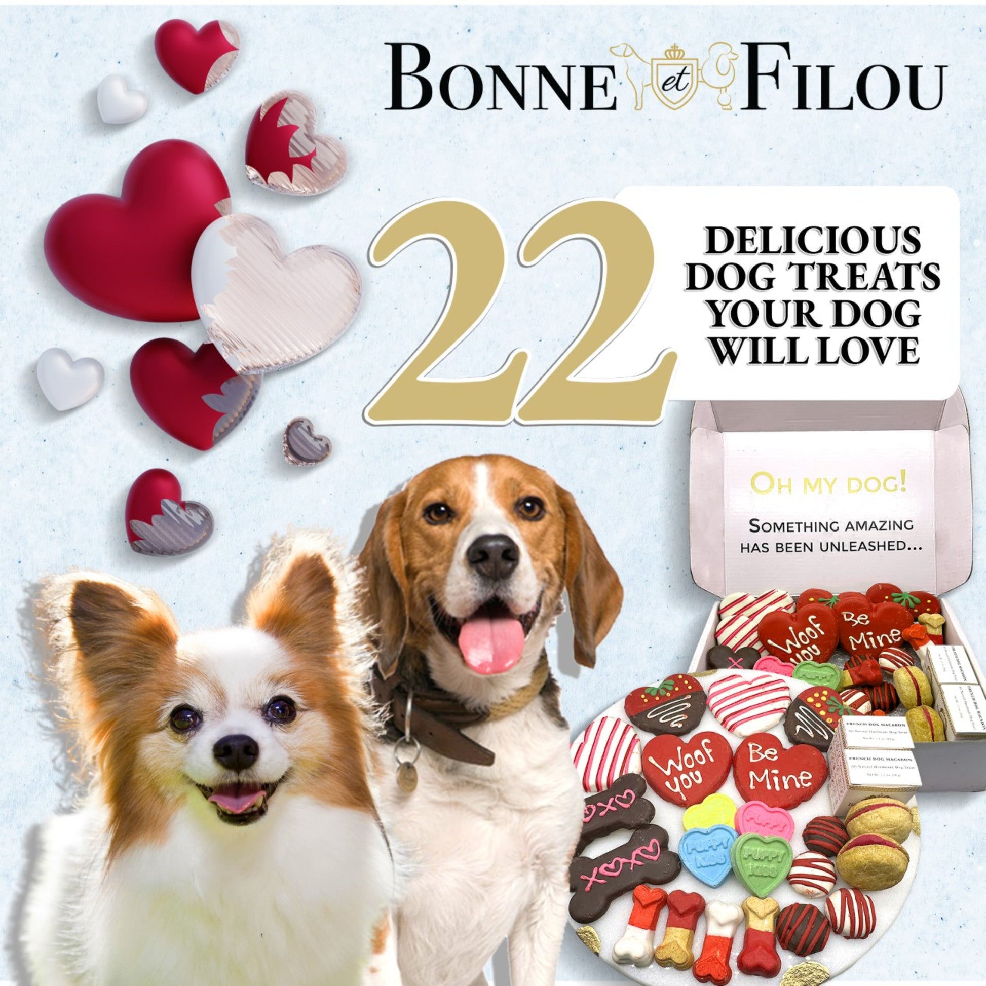 Dog Treats Love My Themed Treats Box for Daily Use Essential - size and texture image for dog treats
