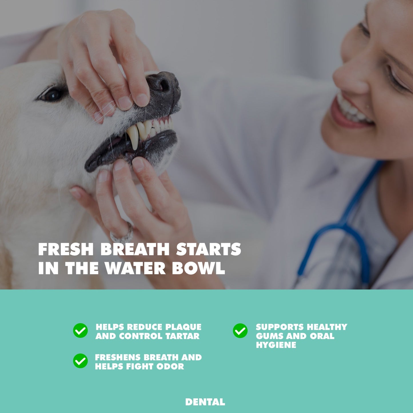 Cat Supply UBAVET Dental Water Additive Cats Odorless Essent - lifestyle product image for cat supply