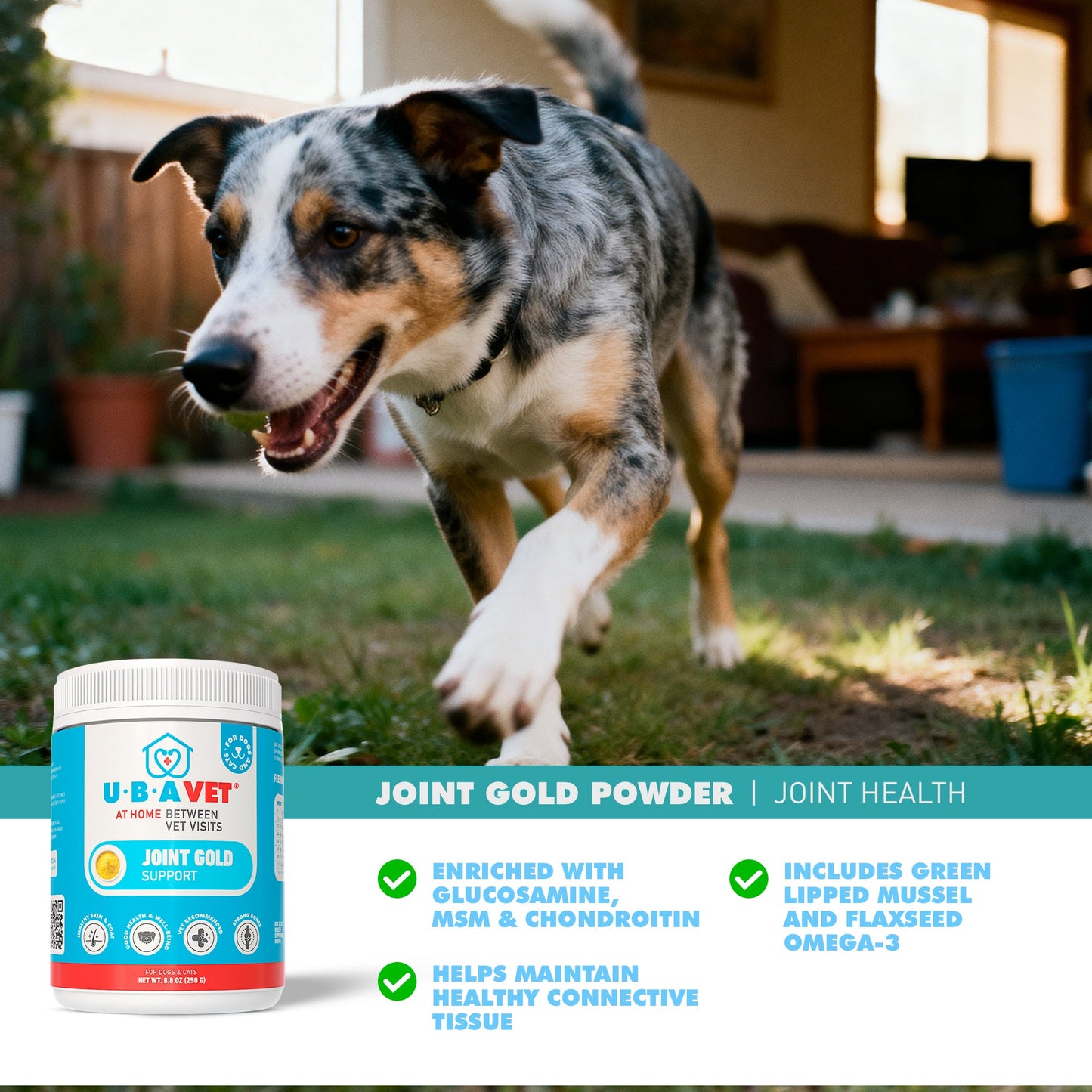 Cat Supply UBAVET Joint Gold Support Powder Cats 88 oz Essen - size and texture image for cat supply
