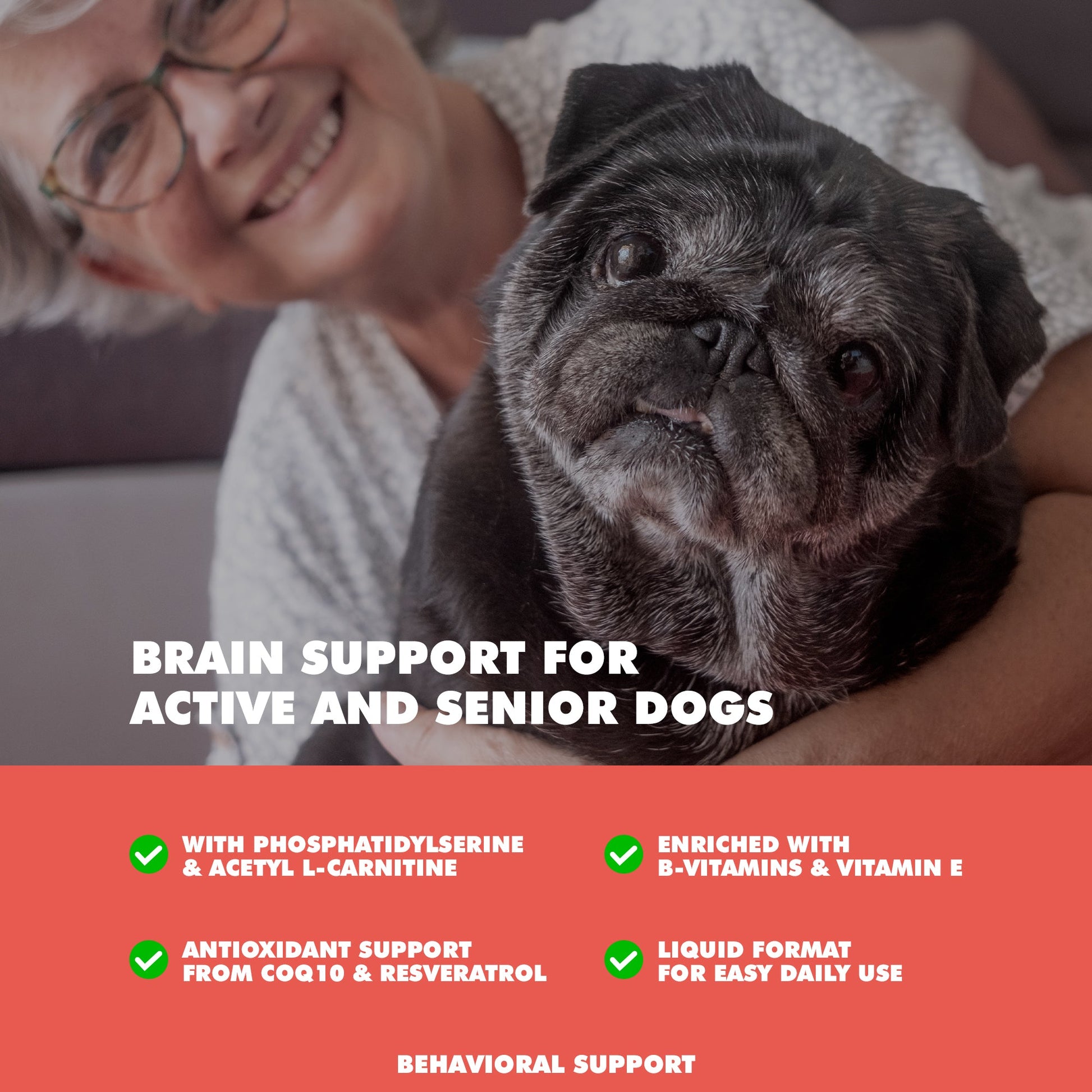 Dog Supply UBAVET Memory Brain Support for Senior Dogs 90 - lifestyle product image for dog supply