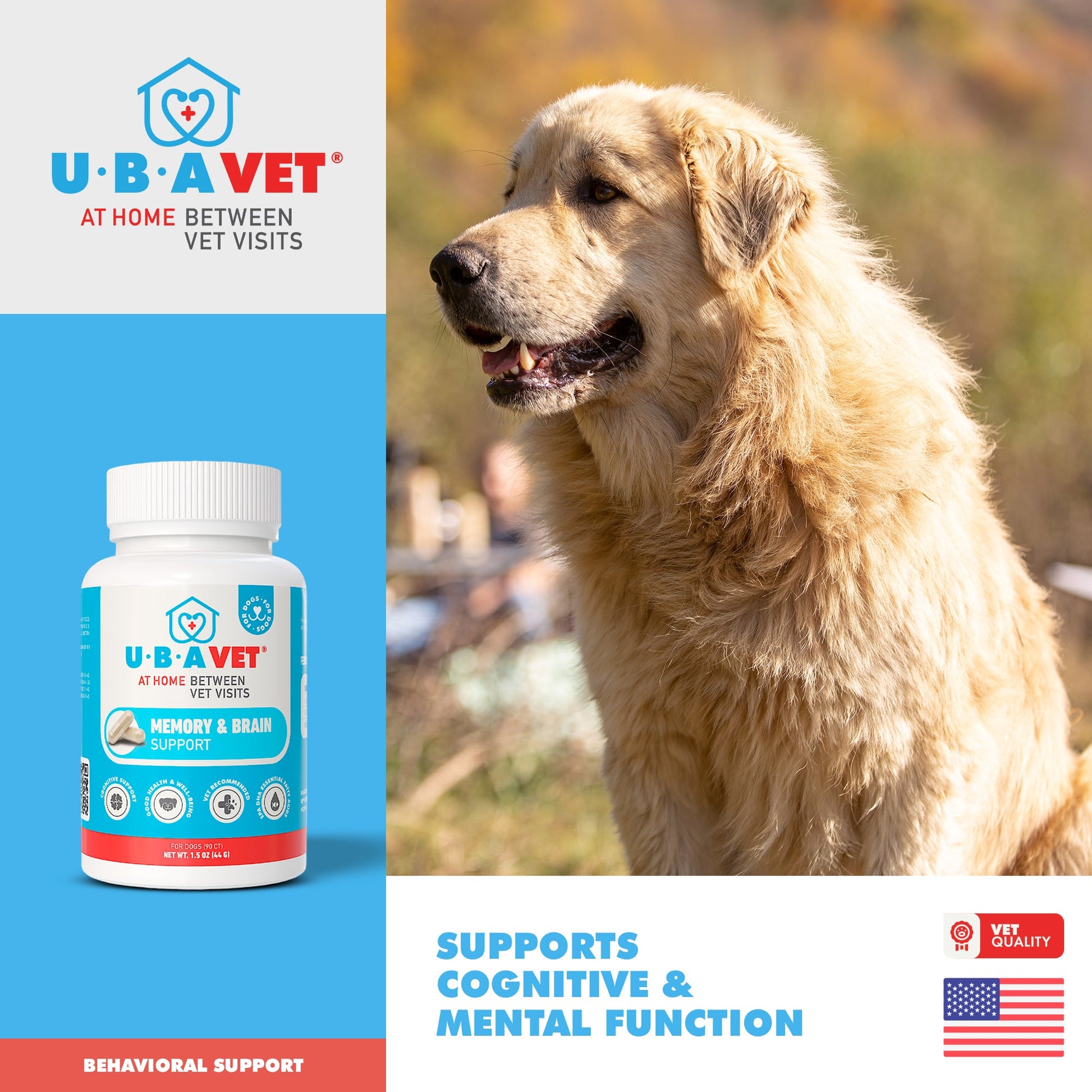 Dog Supply UBAVET Memory Brain Support for Senior Dogs 90 - close up product image for dog supply
