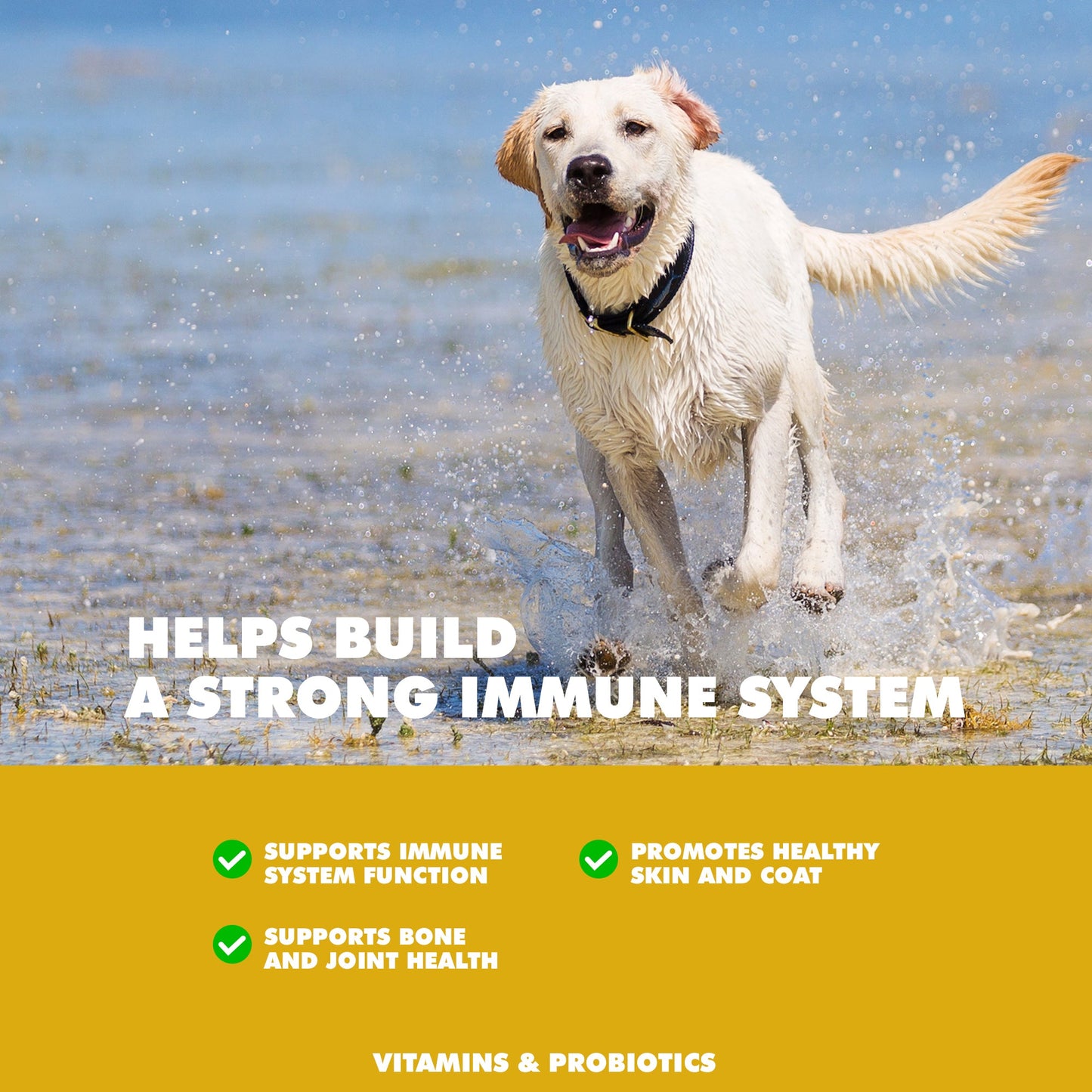 Dog Supply UBAVET Immune Support Multi-Vitamin Mineral Essen - lifestyle product image for dog supply