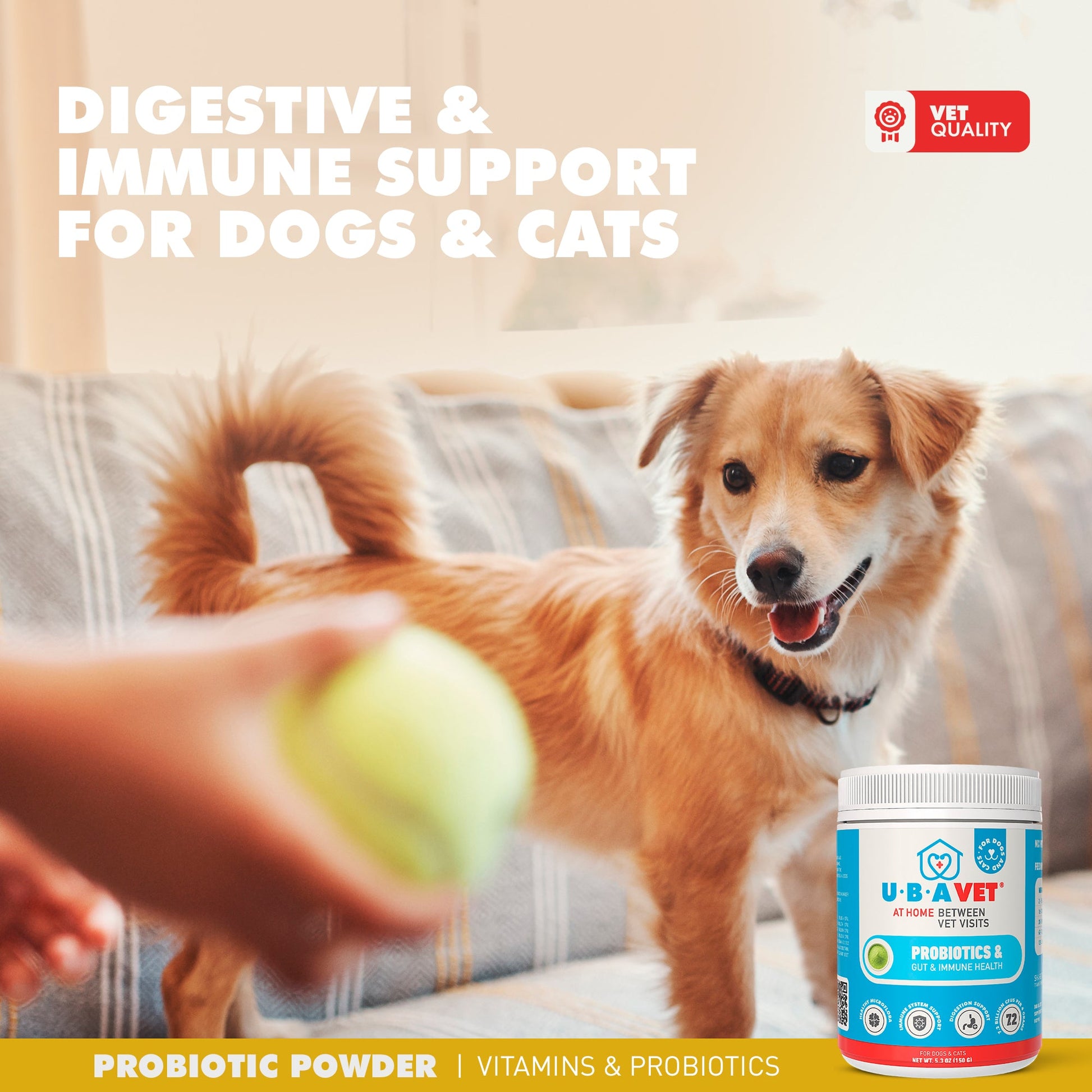 Cat Supply UBAVET Probiotics Gut Immune Health Support Cats - gallery product image for cat supply