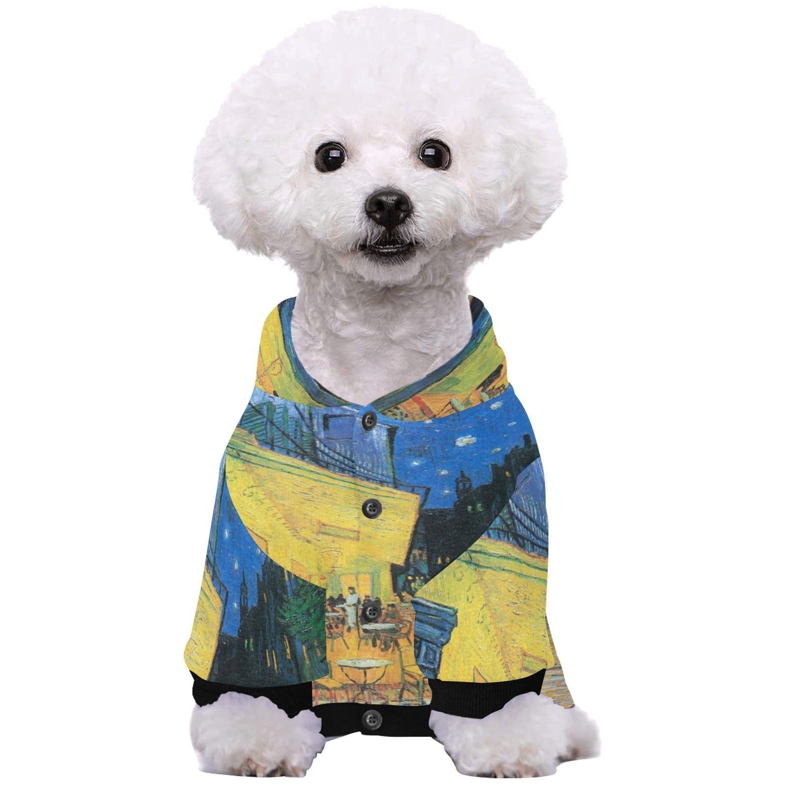 Pet Apparel Van Gogh Cafe Terrace At Night Button Hoodie main product image for dogs and cats
