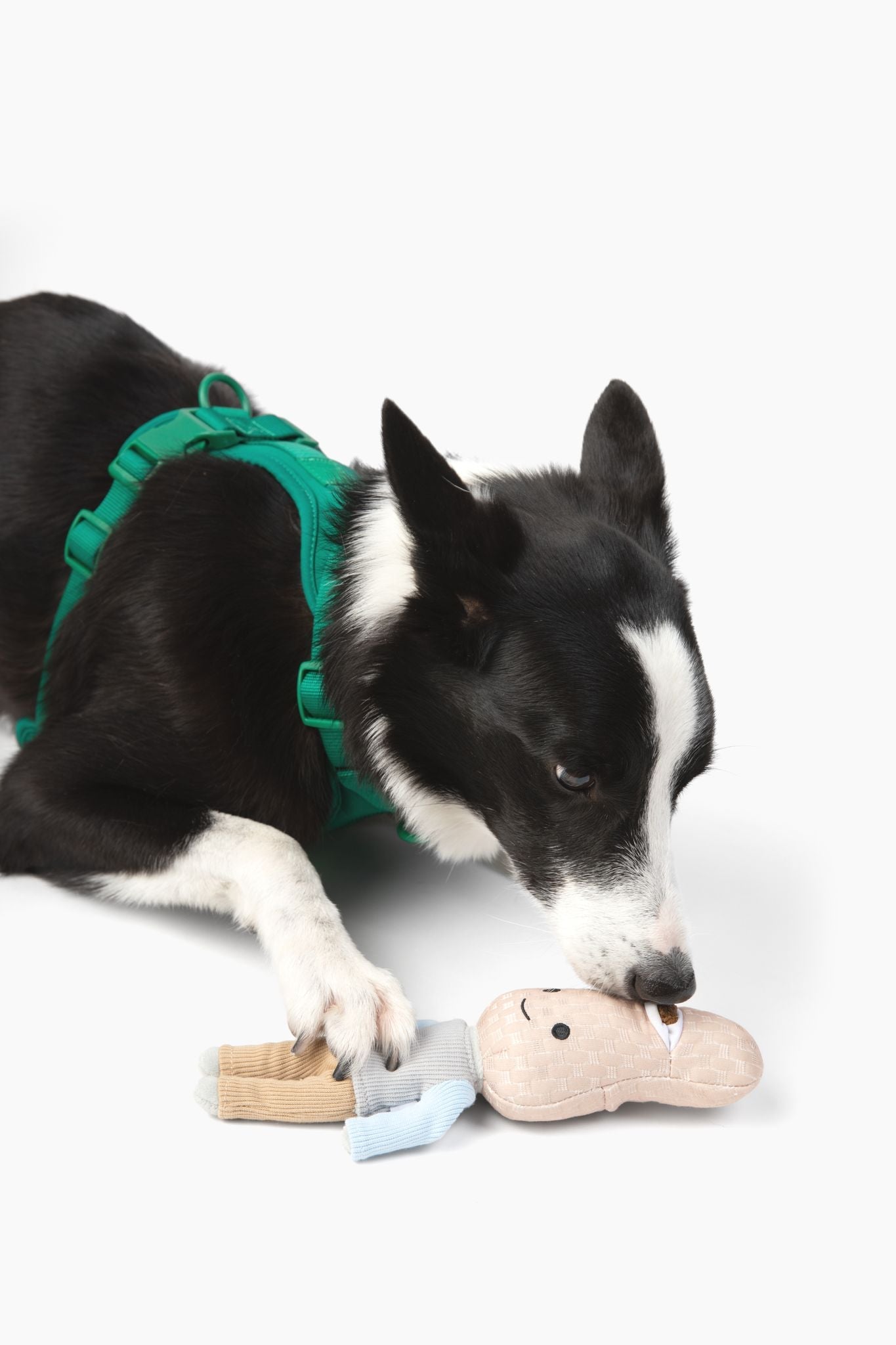 Peanut Nose Work Dog Toy - detail view