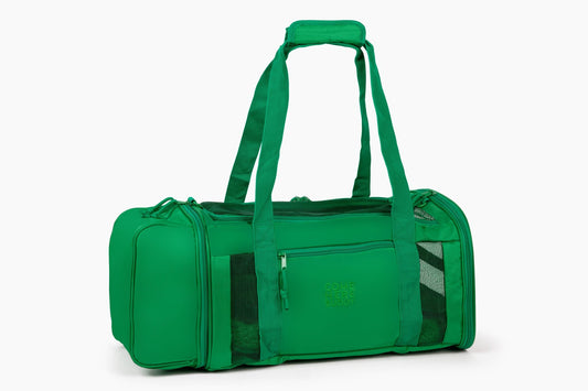 Travel Buddy - Pet Carrier - main product image