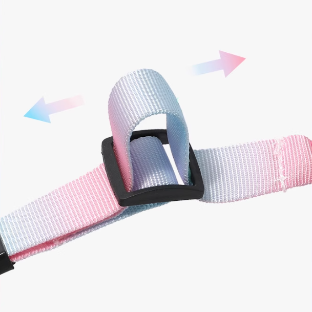 Adjustable Pet Car Seat Belt - lifestyle view