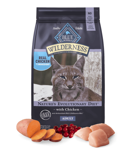 Dry Cat Food Blue Buffalo Chicken Recipe 12lb Daily Meals - main product image