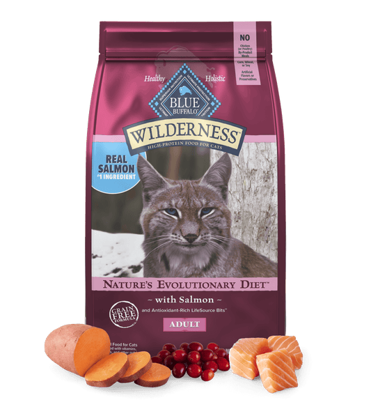 Dry Cat Food Blue Buffalo Salmon Recipe 5lb Daily Meals - main product image