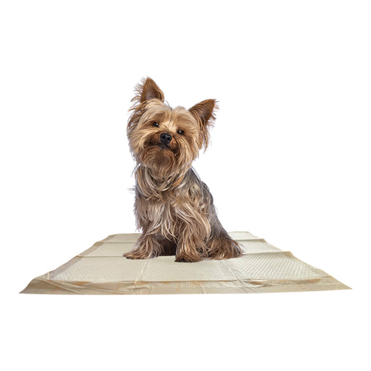 WizSmart Essentials Large Dog Training Pads for Puppies - detail view