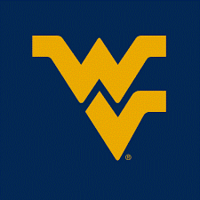 Dog Toy NCAA West Virginia University Mountaineer Knottie main product image for dogs and cats