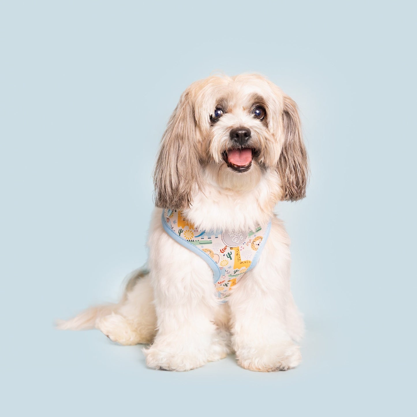 Pet Harness Harness Boho Baby Adjustable Harness for Comfort - close up product image for pet harness